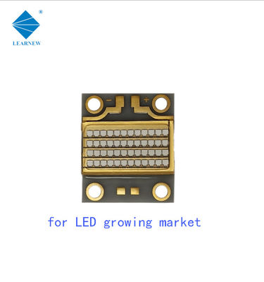 ALN Coppering 126W LED COB UV 54000mW 자외선 LED 칩