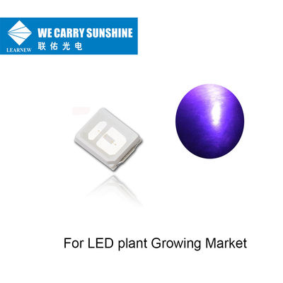 장수 경간 UVA는 성장하는 LED 식물을 위한 395-405nm 150-200mW UV LED 칩을 지도했습니다