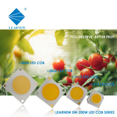 벽 램프 및 스포트라이트용 LED COB