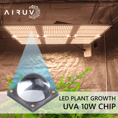 UV 경화를 위한 10W 365nm 385nm 395nm 6-7V Uva 3W LED 칩