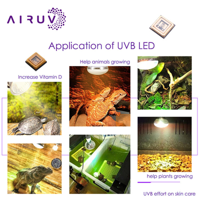 Uva Uvb UV LED 칩 3535 3838 2828 1616 1w 3w 10w 50w 100w 200w 300w Led Uvc LED 칩
