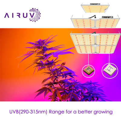 10w 20w 100w UVA UVB UVCLED COB 고효율 365nm 385nm 395nm 비용 효율적인 LED