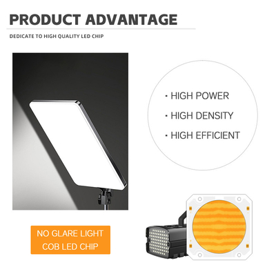 조절 가능한 CCT COB LED 195-205V 2500K 6500K 듀얼 컬러 LED 300W + 300W 고 CRI LED 칩 6060