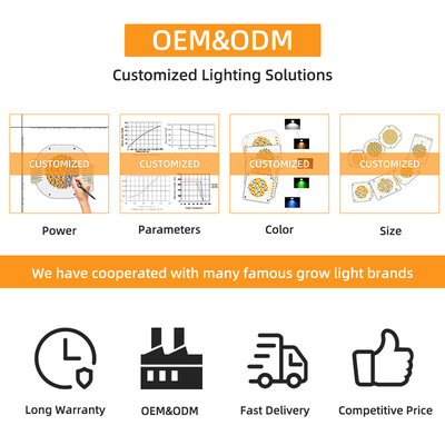 조절 가능한 CCT COB LED 195-205V 2500K 6500K 듀얼 컬러 LED 300W + 300W 고 CRI LED 칩 6060