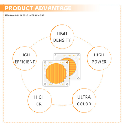 양색 2700-6500K 고 CRI Ra>95 LED COB CHIP 사진등 200W + 200W + 200W