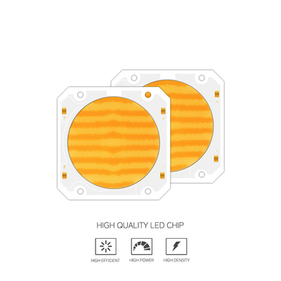 OEM ODM 파장 BI 색상 205V SMD LED 칩 따뜻한 흰색 + 흰색 6060 SMD LED 칩 방출