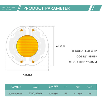 200W 칩 6060 LED COB 사진용 칩 빛 VF42-46V 51-53V LM/W 95