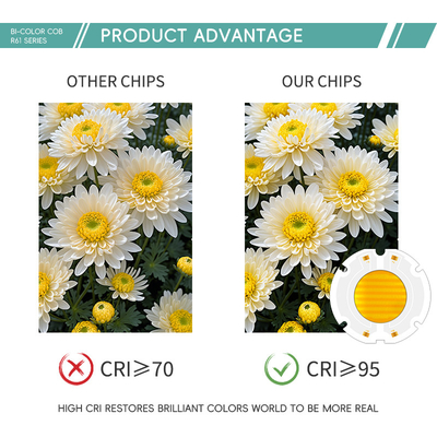 200W 칩 6060 LED COB 사진용 칩 빛 VF42-46V 51-53V LM/W 95
