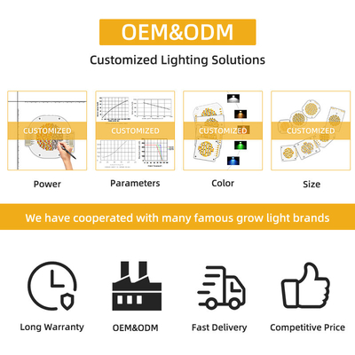 2700k 6500k 흰색 따뜻한 흰색 고전력 LED 200W 에피스타 사용자 정의 칩