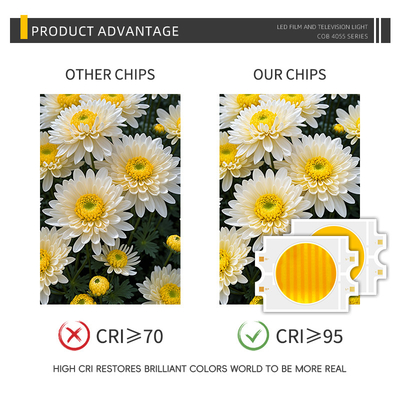 4055 양색 2700K 6500K 고전력 300W + 300W COB 사진 램프용 LED 칩 모듈