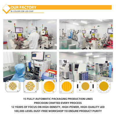 맞춤형 알루미늄 재료 COB 칩 2424 흰색 파란색 빨간색 & 녹색 높은 밝기 중국 공장