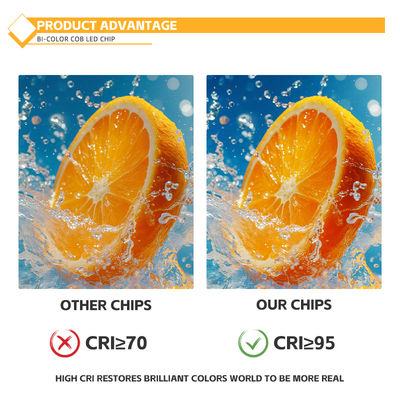 맞춤형 알루미늄 재료 COB 칩 2424 흰색 파란색 빨간색 & 녹색 높은 밝기 중국 공장