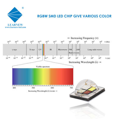 SMD 5050 RGBW LED 칩 12W 고휘도 무대 조명