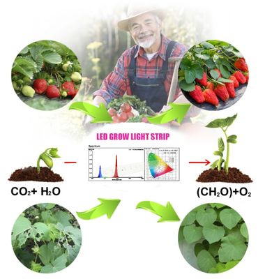 1W SMD 3030 블루 LED 성장 라이트 칩 440-470nm 300mA 3.0-3.4V