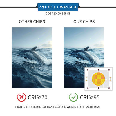 전문 1200W+1200W 바이-칼로 LED COB 칩 70-100lm/w 120*100mm, 2년 보증, 사진 조명용