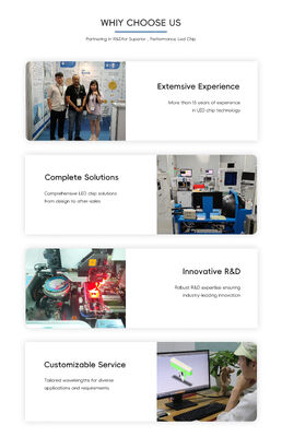 첨단 365nm 385nm 395nm 고전력 UVA LED SMD6868 10W 높은 뤼멘 6.0-7.0V UV 빛 온실 식물 성장 UV 치료