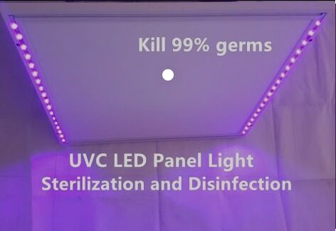 1W 225nm UVC 233.8nm LED 광전력 2-3mW 6-8V 150mA SMD 3.8mm UV-C LED 다이오드 60° 돔 렌즈