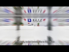 이중 컬러 COB LED 칩 시리즈