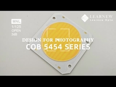 5454 이중 색 온도 칩