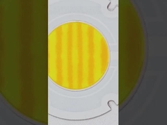 R60mm 양색 COB 시리즈